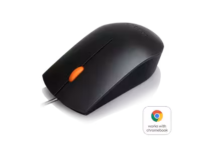 Mouse Lenovo 300 USB Óptico (GX30M39704)